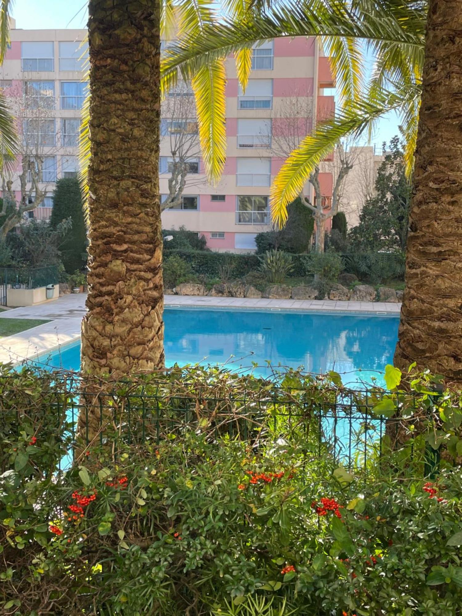 Petit Deux Pieces Avec Piscine