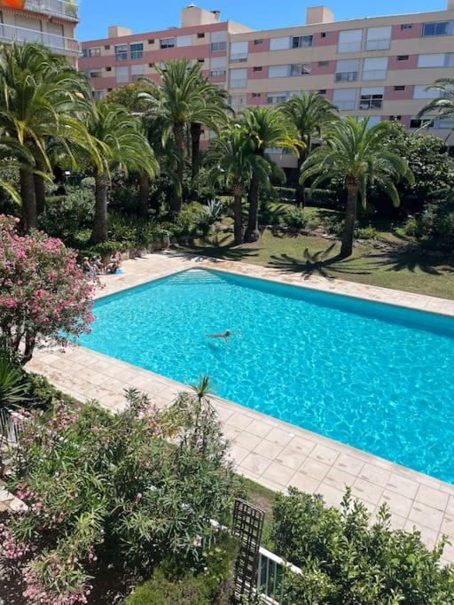 Apartment Petit Deux Pieces Avec Piscine *